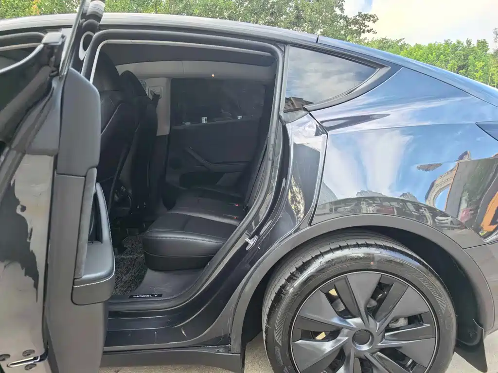 Tesla Model Y — миниатюра 11