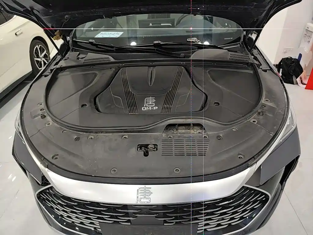 BYD Tang New Energy — миниатюра 20