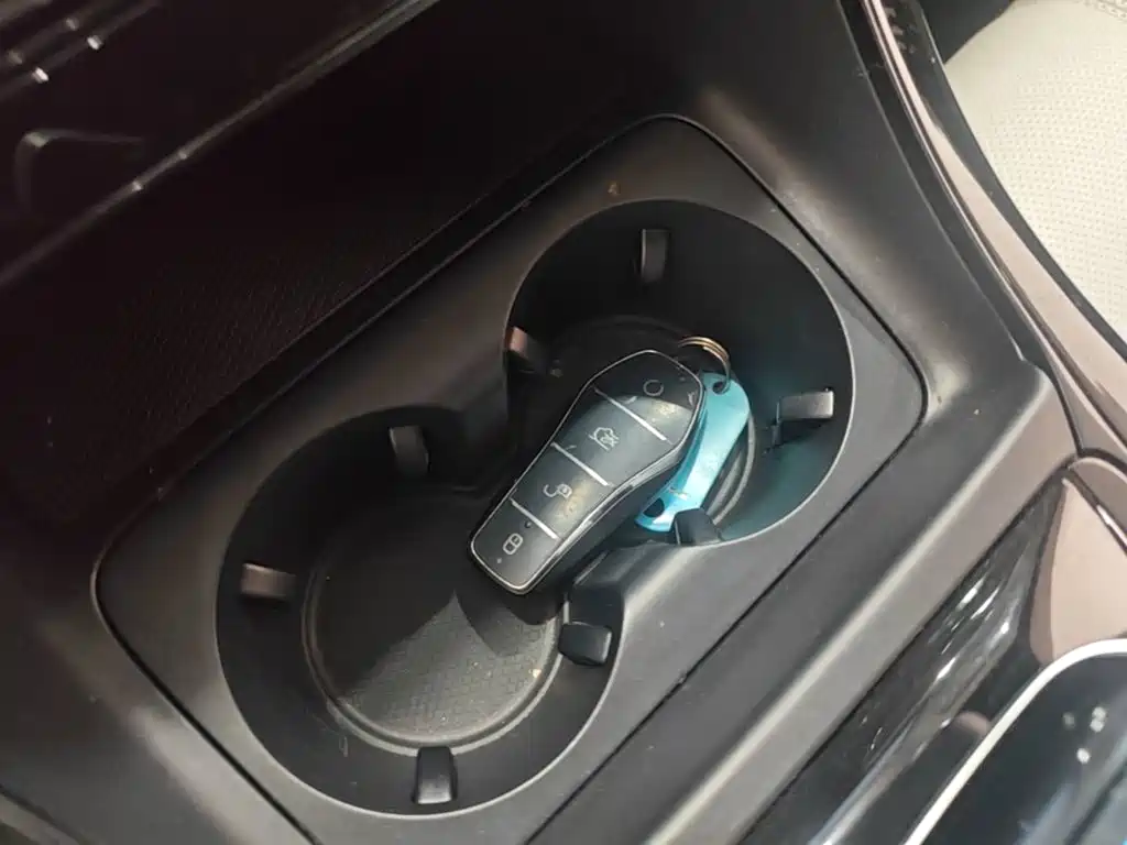 BYD Qin PLUS — миниатюра 9