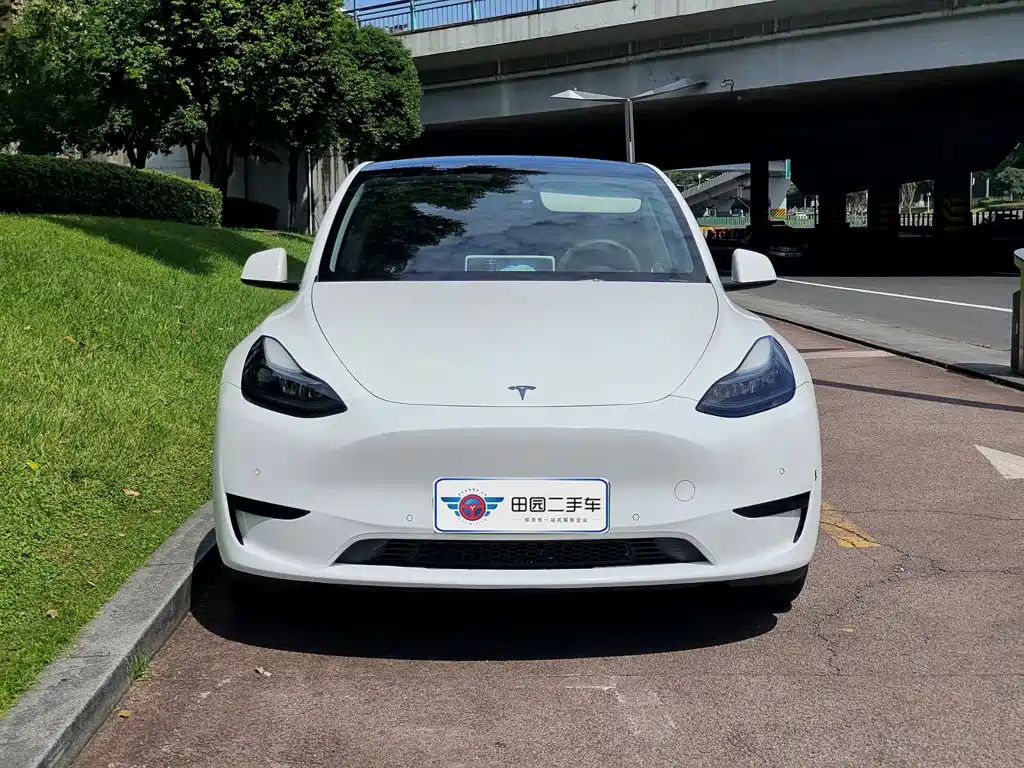 Tesla Model Y — миниатюра 2