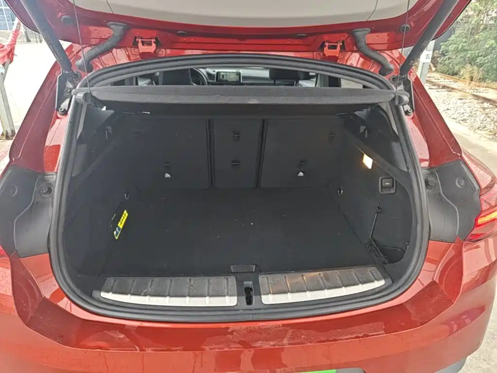 BMW X2 (Import) — миниатюра 19