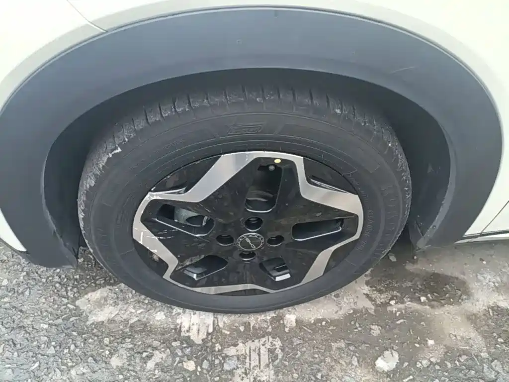 BYD Dolphin — миниатюра 23