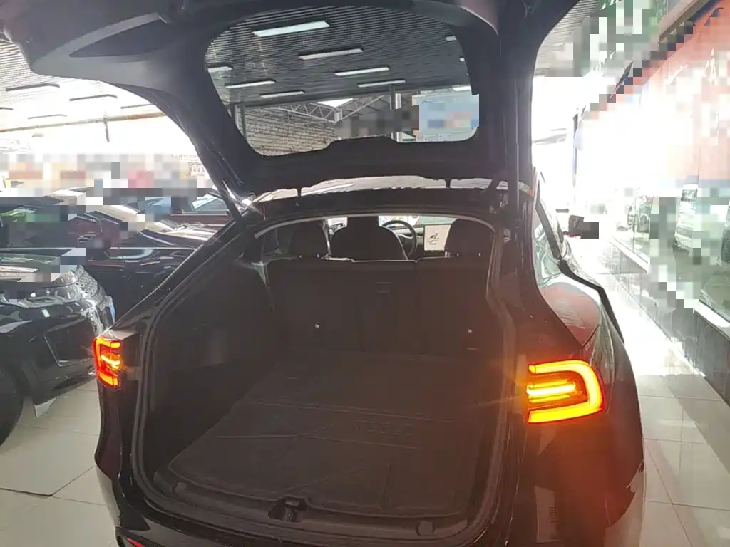 Tesla Model Y — миниатюра 19
