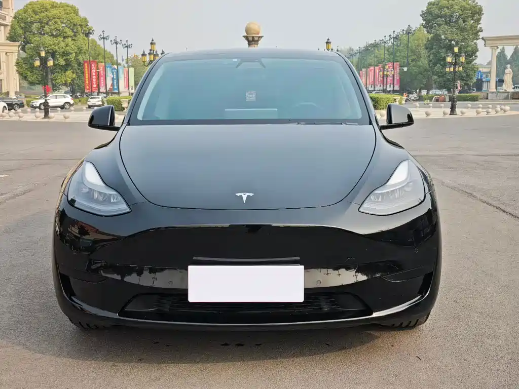 Tesla Model Y — миниатюра 2