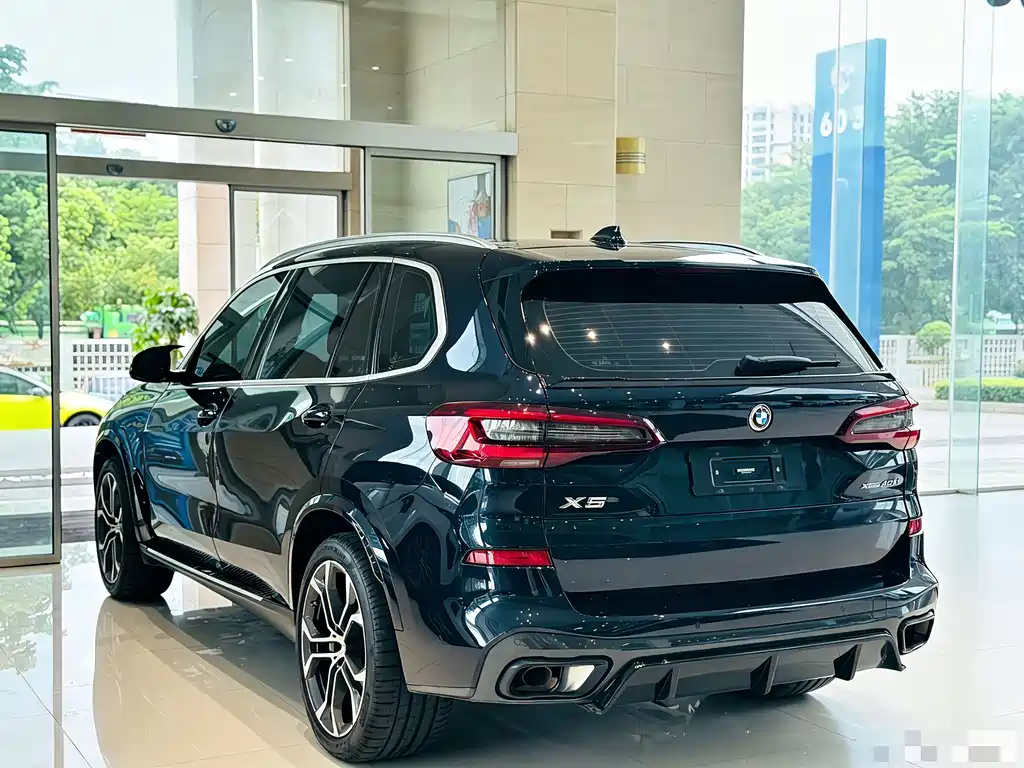 BMW X5 — миниатюра 8