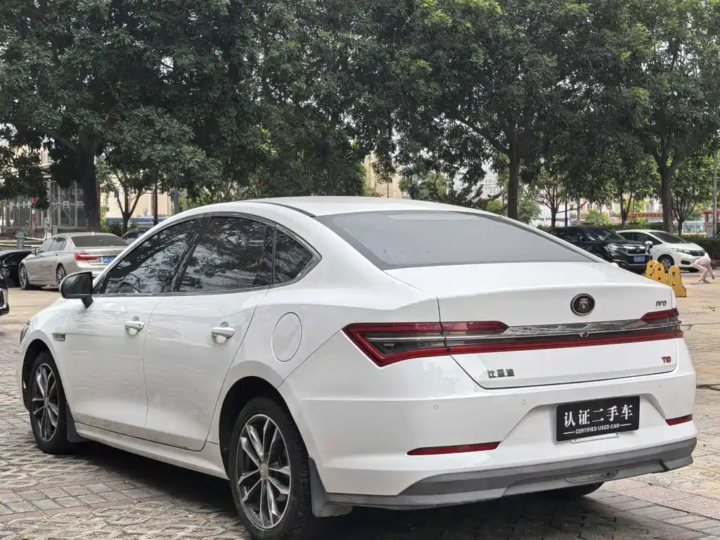 BYD QIN PRO