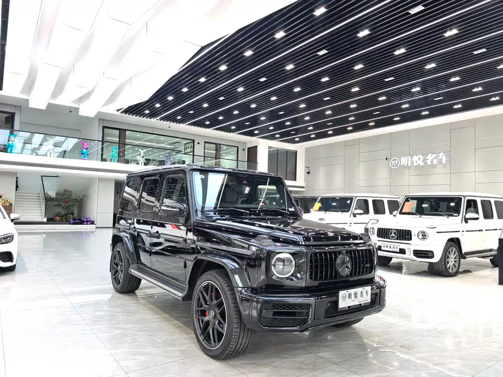 MERCEDES-BENZ G CLASS