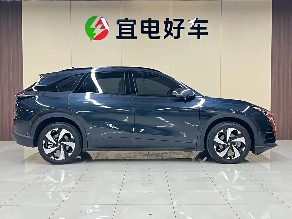 ARCFOX EXTREME FOX POLAR FOX ALPHA T5