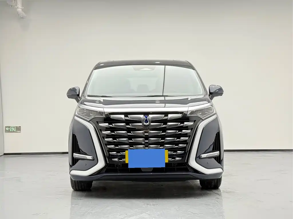 DENZA  D9