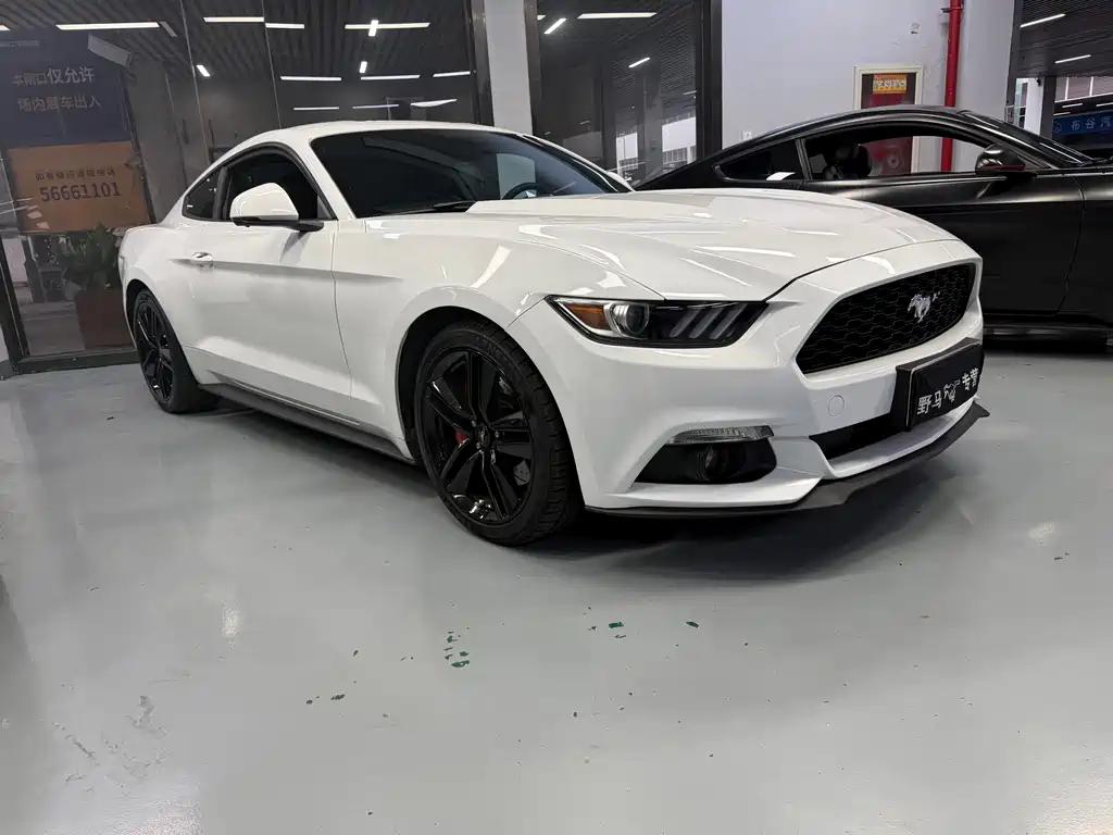 Ford Mustang — миниатюра 2