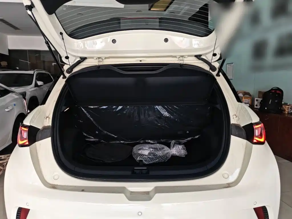 BYD Dolphin — миниатюра 19