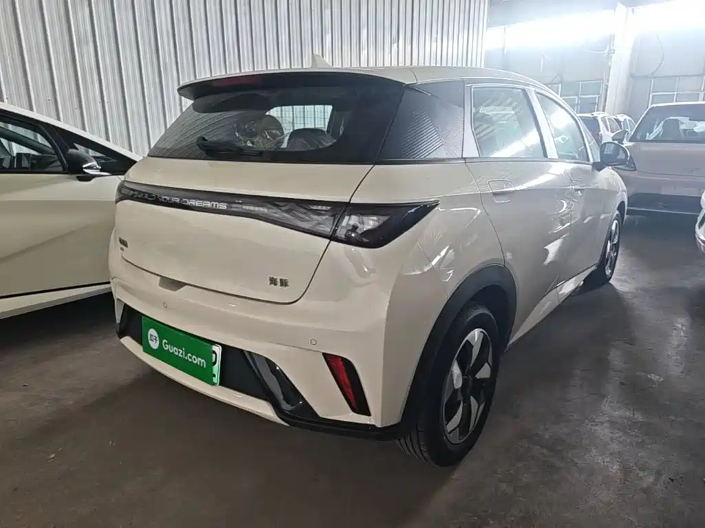 BYD Dolphin — миниатюра 7