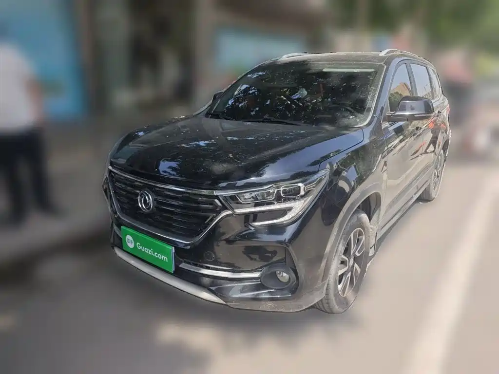 Fengxing Fengxing T5 2020