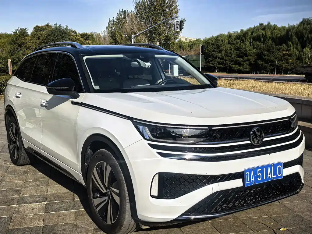 Volkswagen Tavendor — миниатюра 4