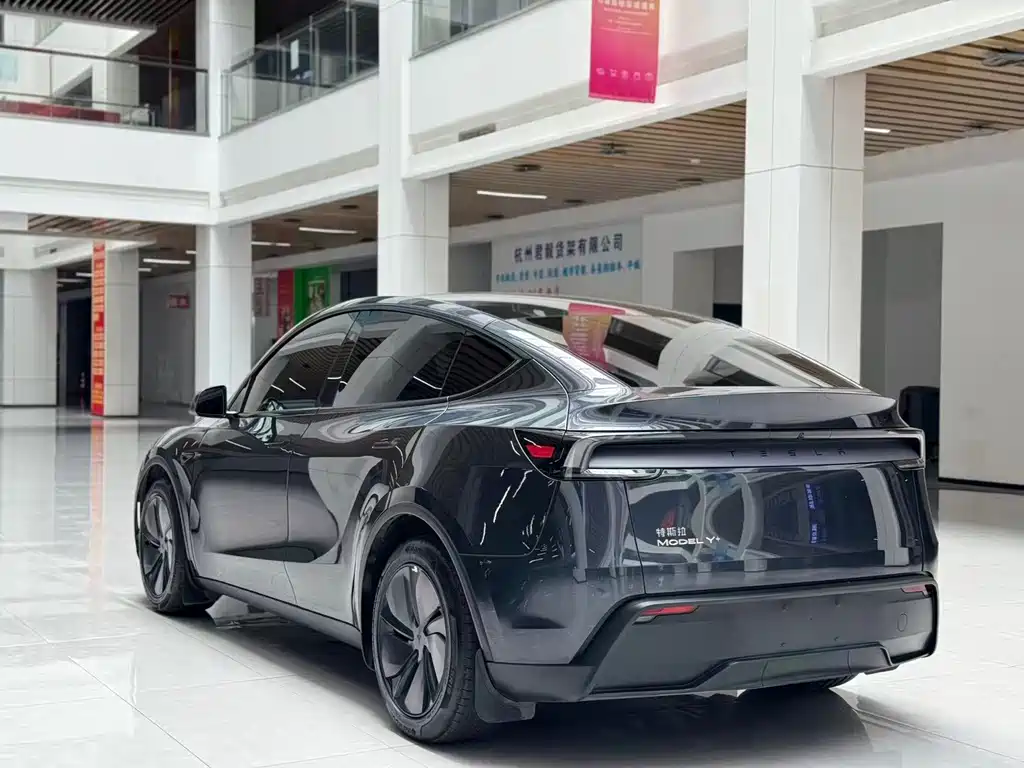 Tesla Model Y — миниатюра 7