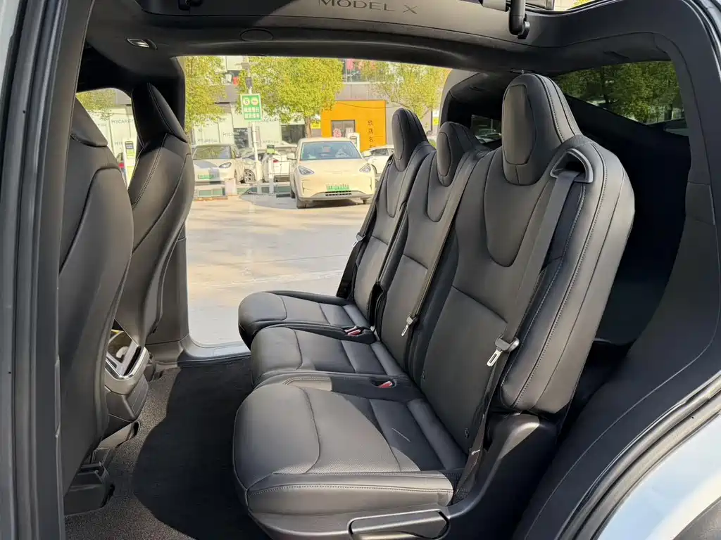 Tesla Model X — миниатюра 8