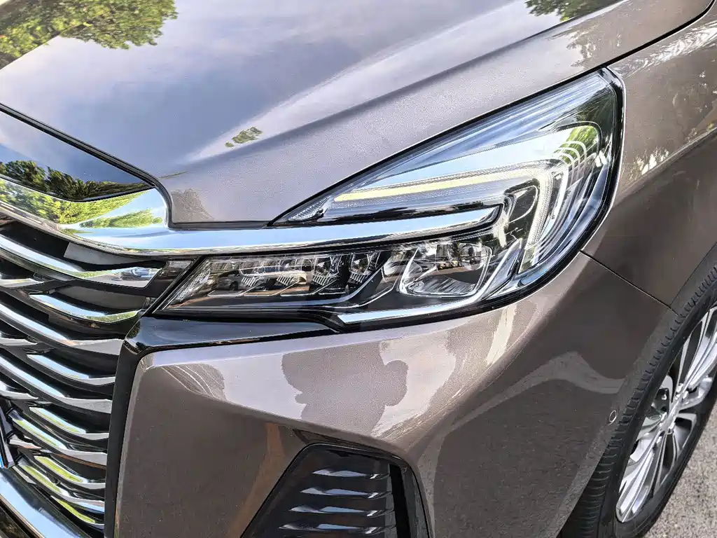 Buick GL8 — миниатюра 5