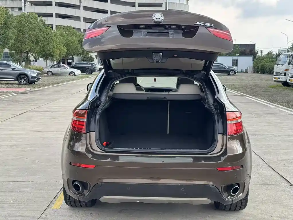 BMW X6 — миниатюра 9