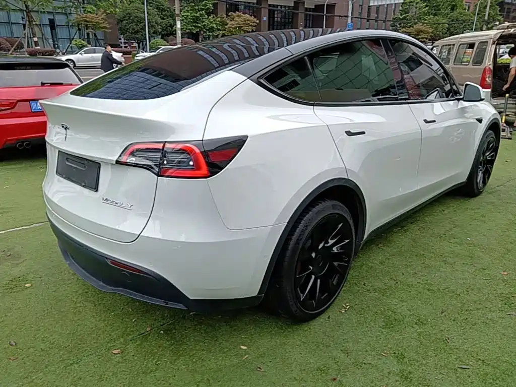 Tesla Model Y — миниатюра 7