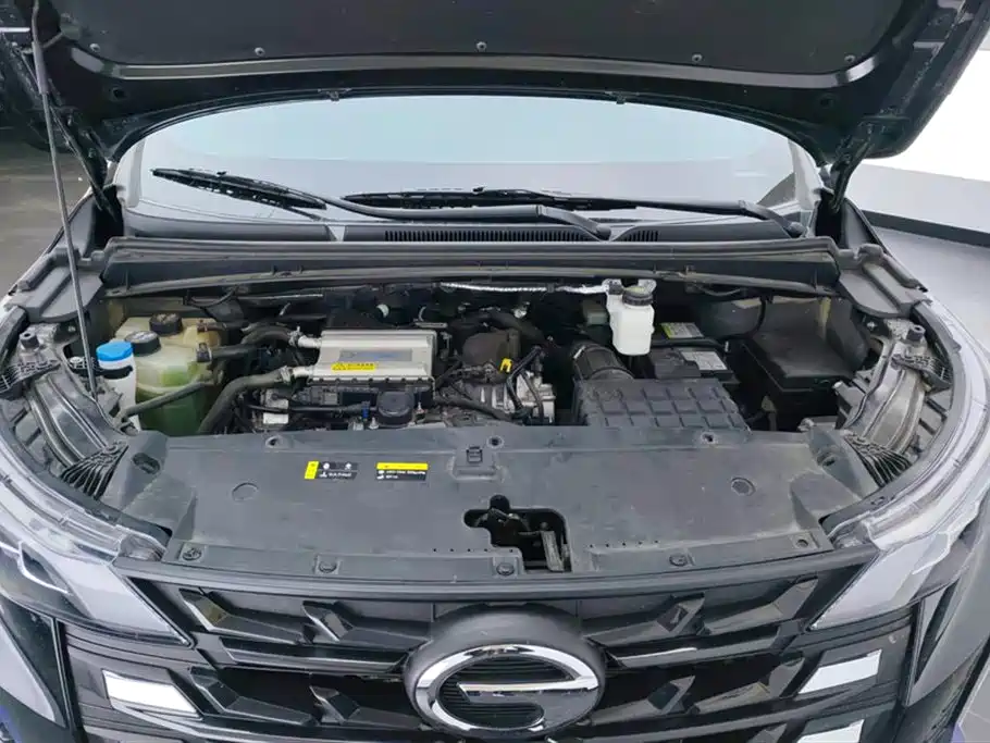 GAC TRUMPCHI M6