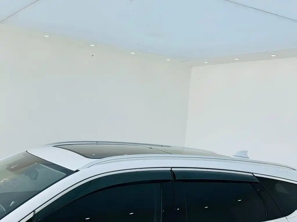 BYD Tang New Energy — миниатюра 24