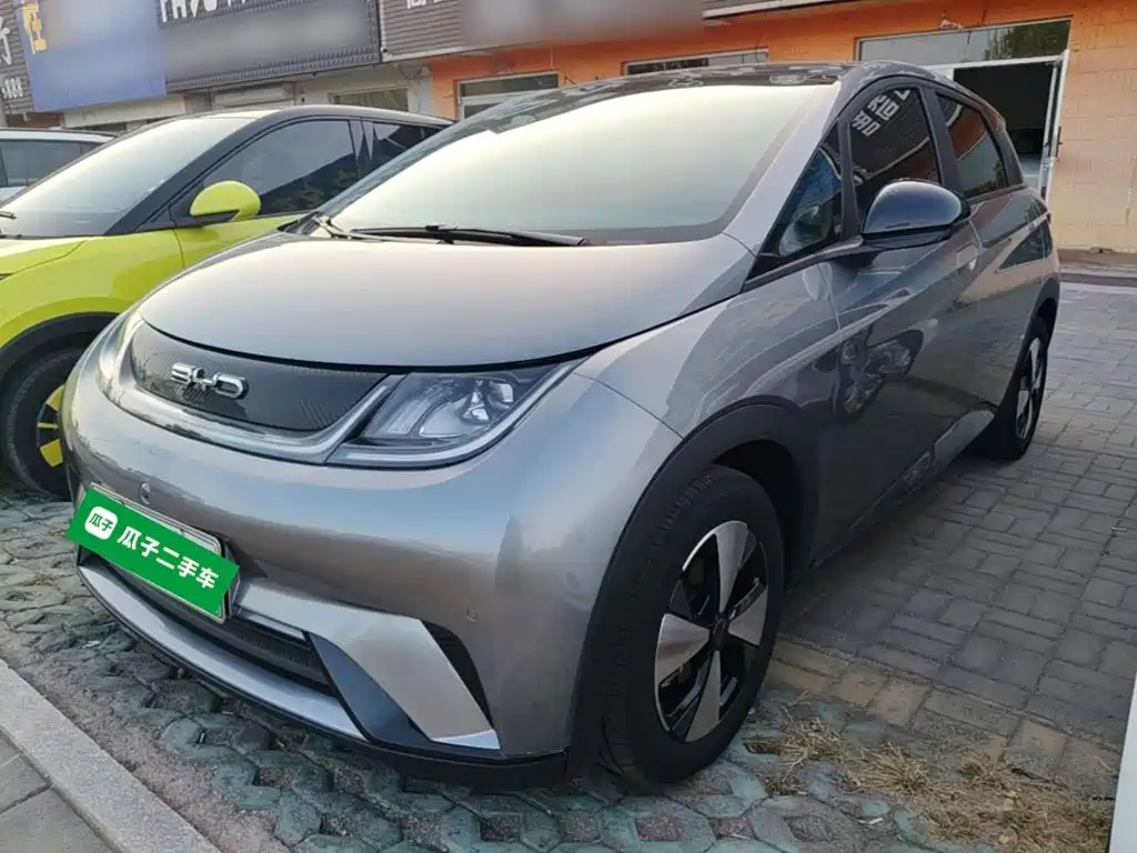 BYD Dolphin