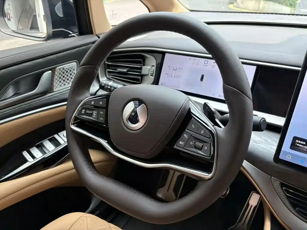 Denza Denza D9 — миниатюра 11