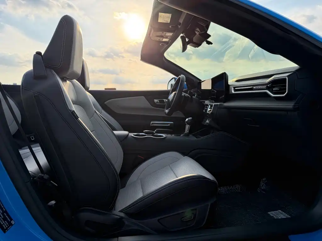 Ford Mustang — миниатюра 27