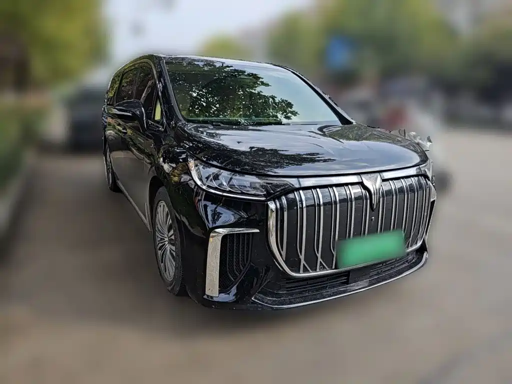 VOYAH Dreamer — миниатюра 24