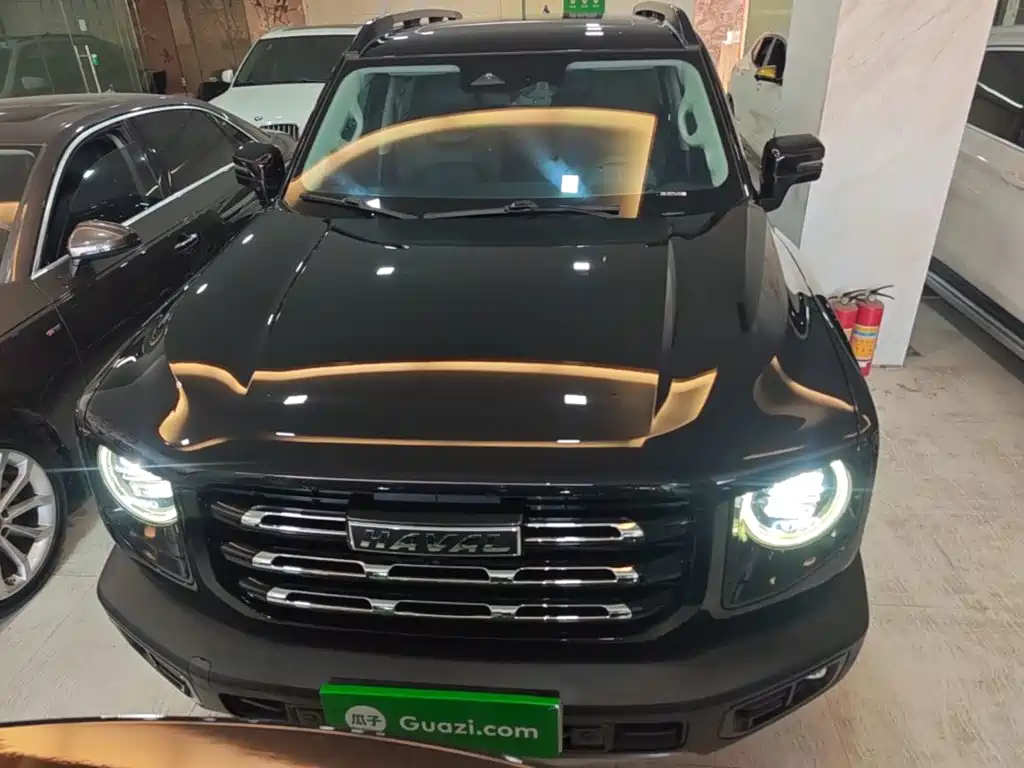 Haval Big Dog — миниатюра 3