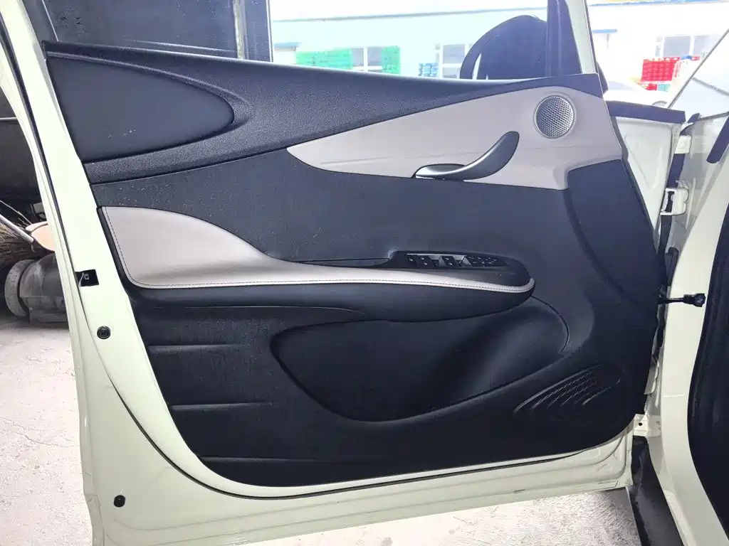 BYD Dolphin — миниатюра 15