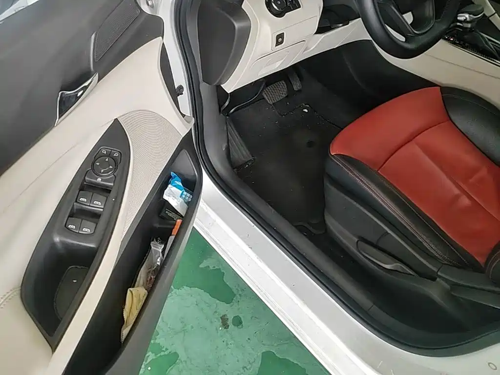 Buick GL6 — миниатюра 16