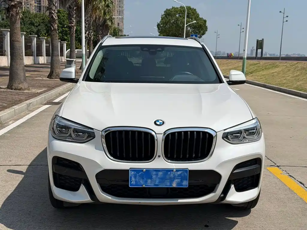 BMW X3 — миниатюра 3