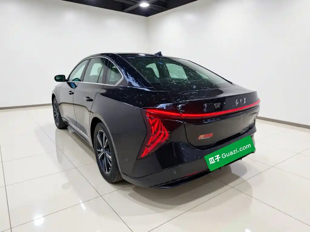 Hongqi Hongqi EH7 — миниатюра 25