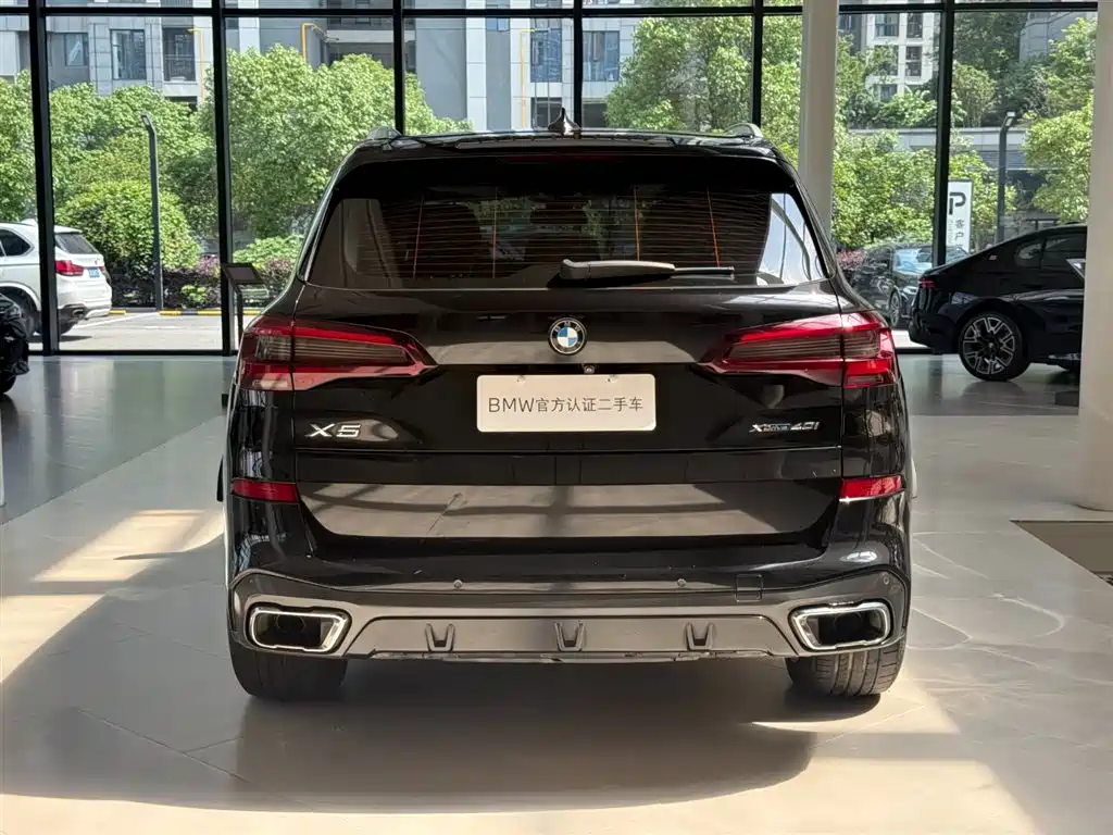 BMW X5 (Import) — миниатюра 10