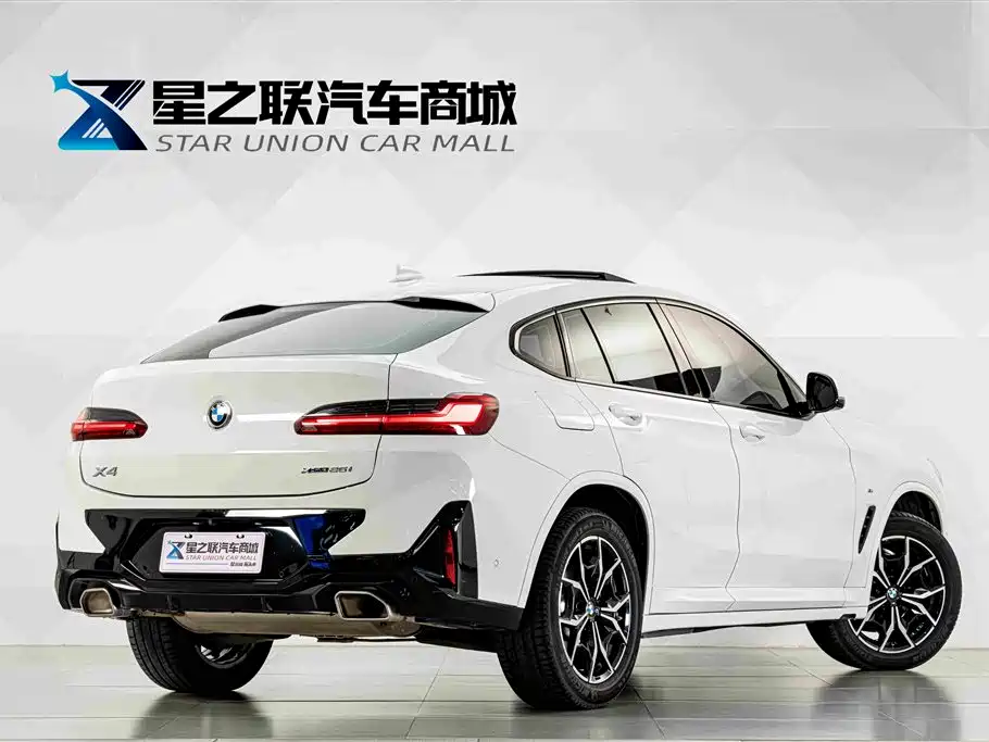 BMW X4 — миниатюра 6