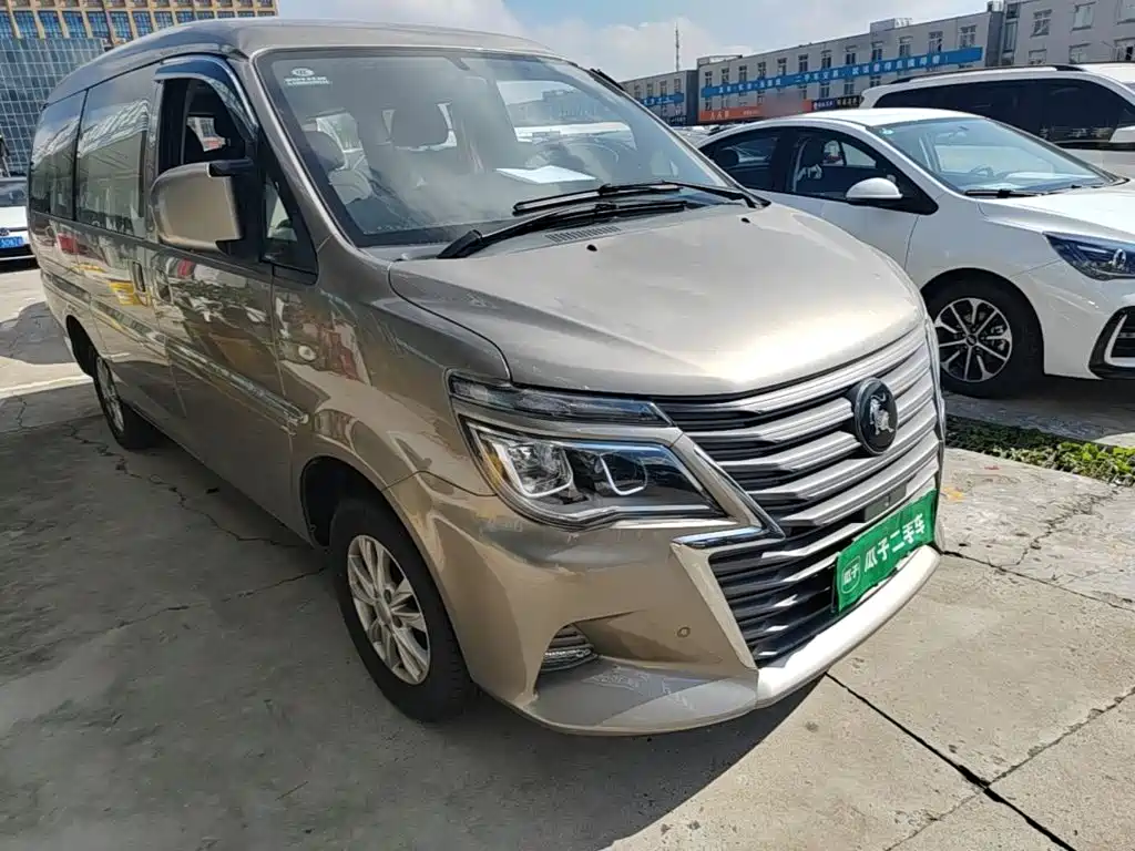Fengxing Lingzhi — миниатюра 4
