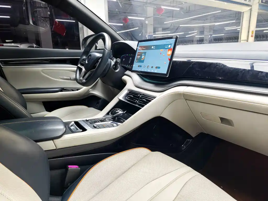 BYD PLUS New Energy — миниатюра 11
