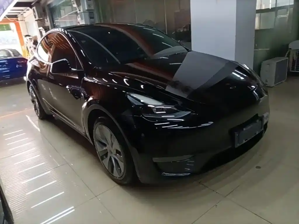 Tesla Model Y — миниатюра 4