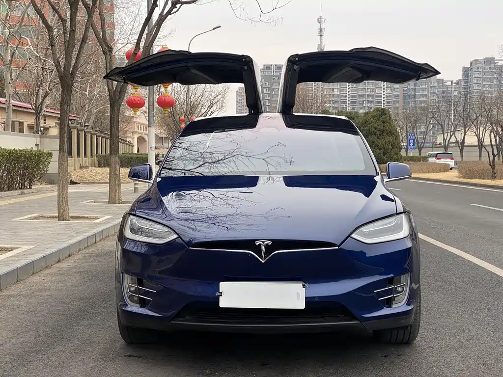 TESLA MODEL X