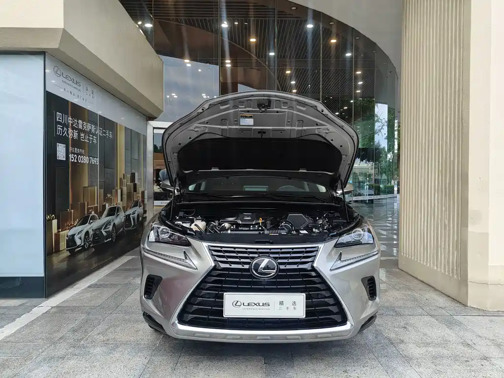 Lexus NX — миниатюра 6
