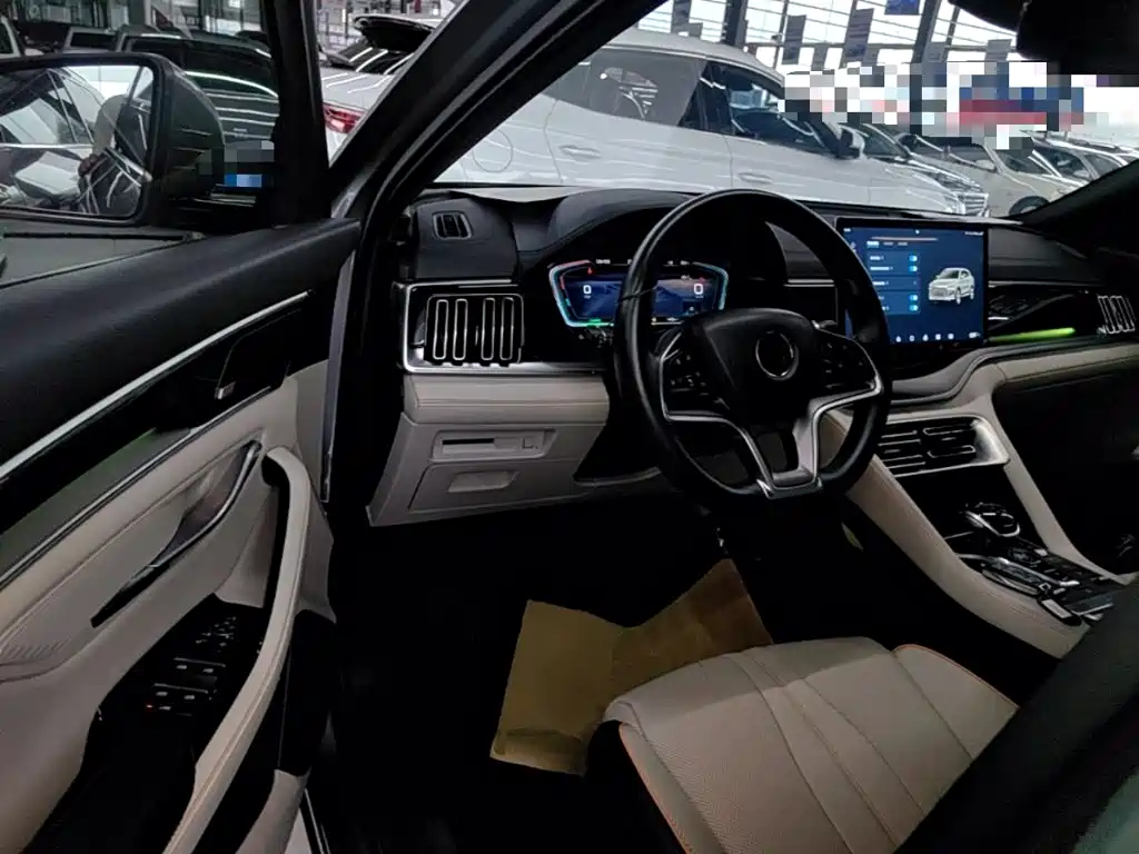BYD PLUS New Energy — миниатюра 16