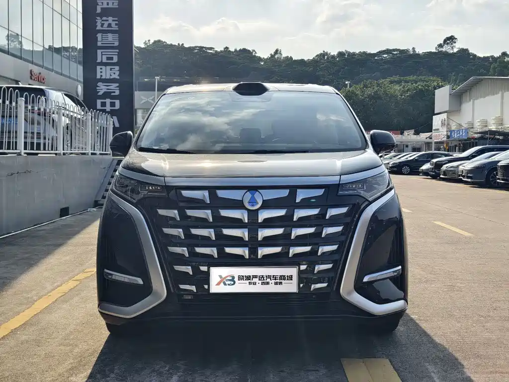 Denza Denza D9 — миниатюра 2