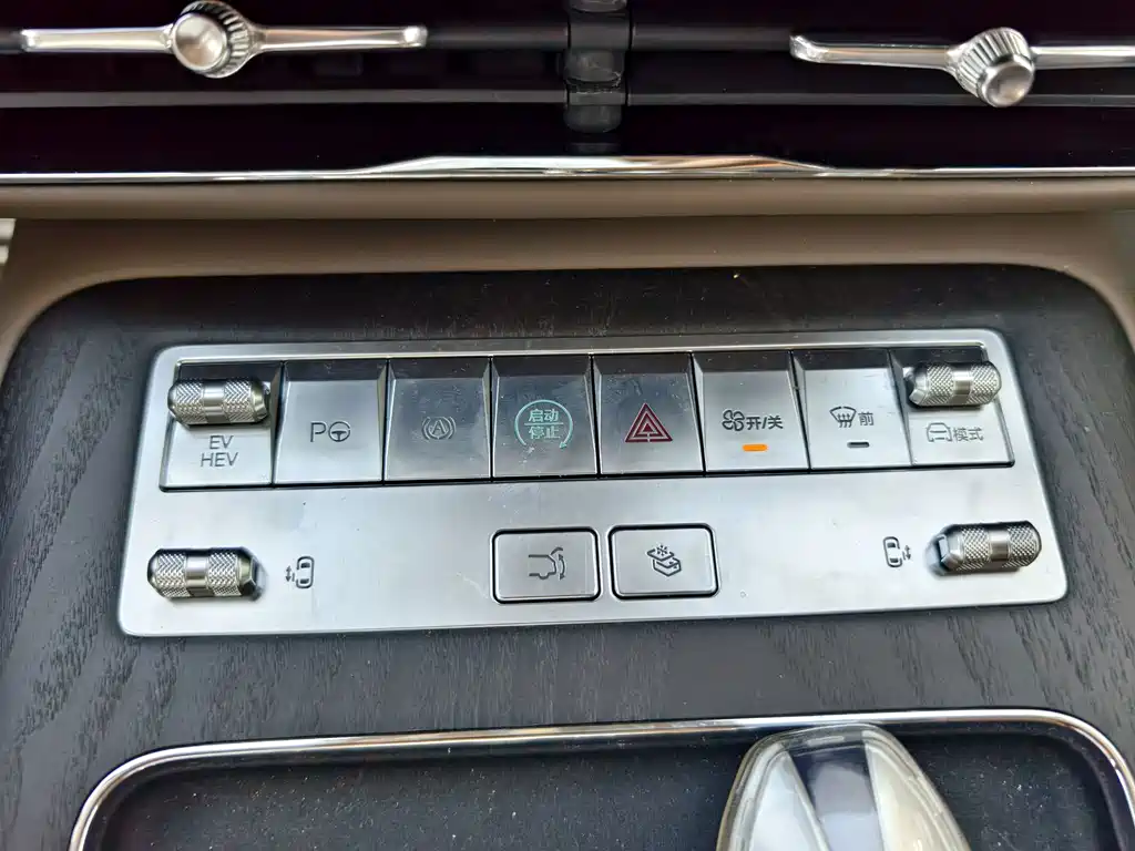 Denza Denza D9 — миниатюра 10