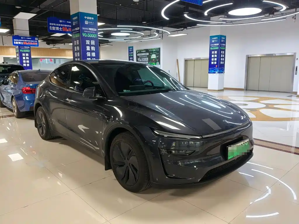 Tesla Model Y — миниатюра 7