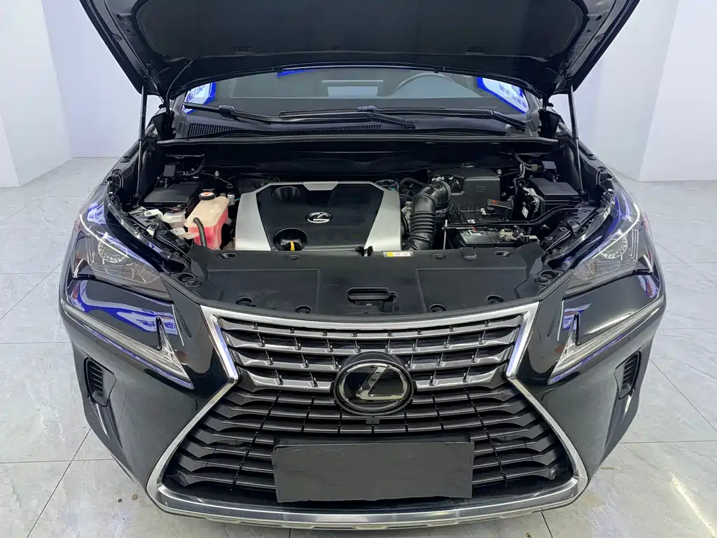 Lexus NX — миниатюра 25