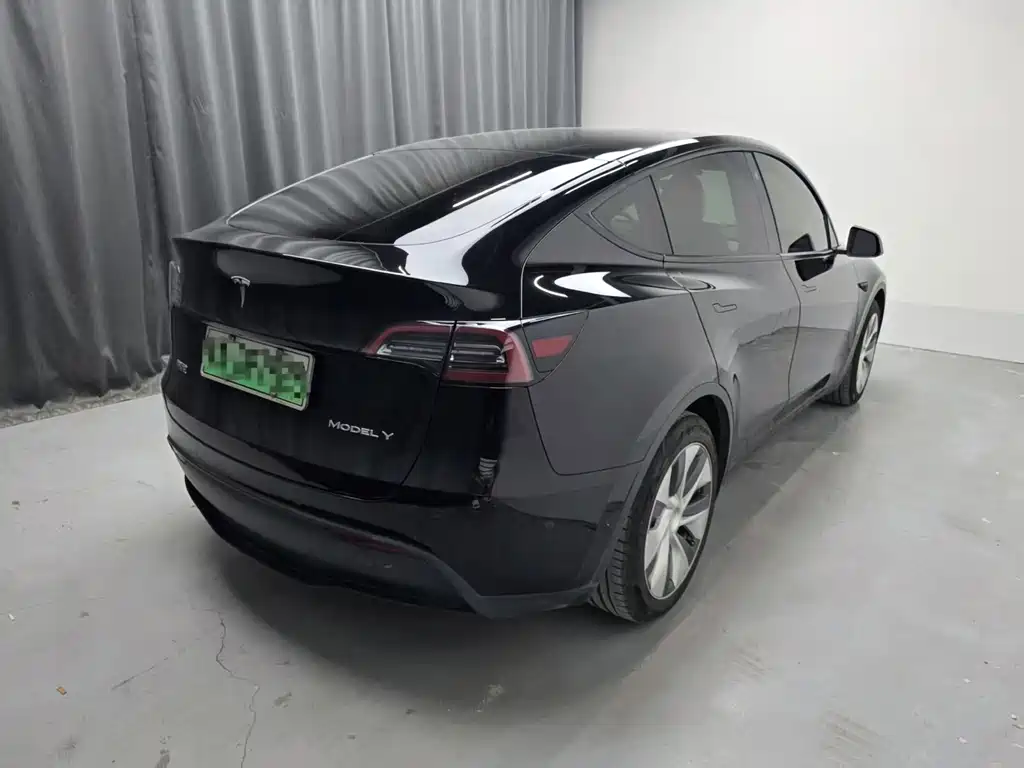 Tesla Model Y — миниатюра 4