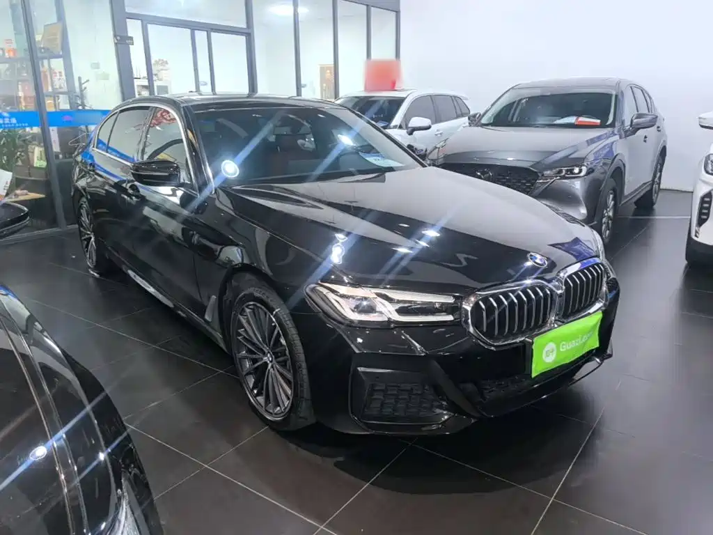 BMW 5 Series — миниатюра 4