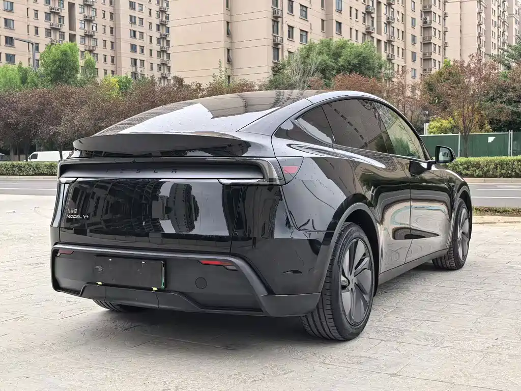 Tesla Model Y — миниатюра 9