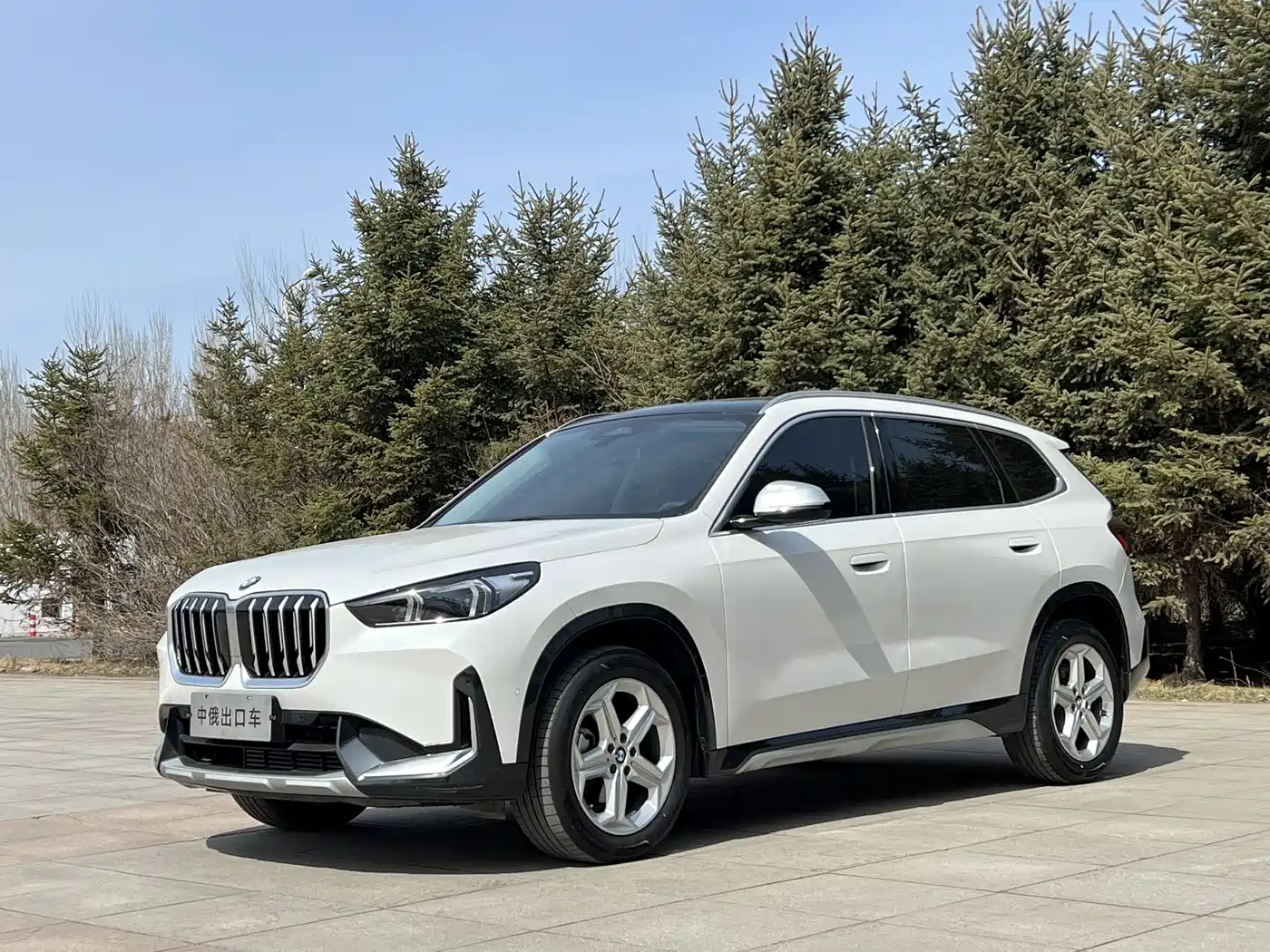 BMW X1